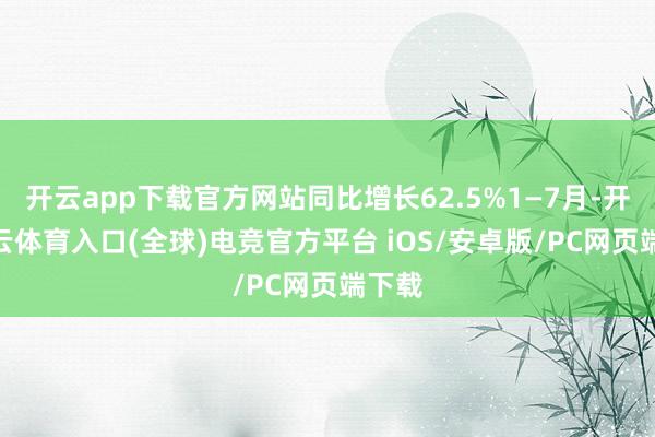 开云app下载官方网站同比增长62.5%1—7月-开yun云体育入口(全球)电竞官方平台 iOS/安卓版/PC网页端下载